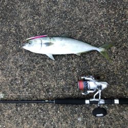 2021 佐渡ヶ島 ショアジギング