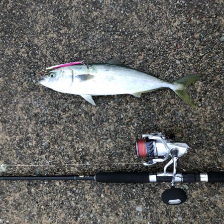 2021 佐渡ヶ島 ショアジギング