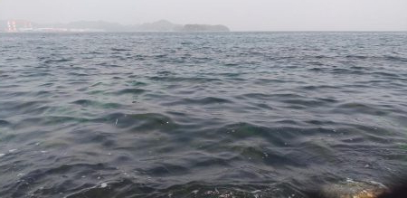 ようやくシーバス！