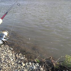 先日シーバスが釣れたポイントで