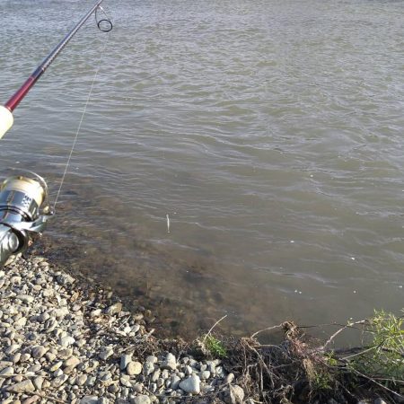 先日シーバスが釣れたポイントで