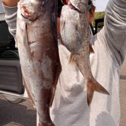 康仁丸・中深海・釣り果