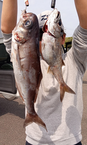康仁丸・中深海・釣り果