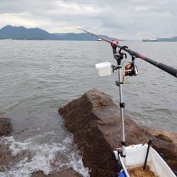 坂の地磯でチヌ