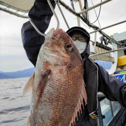 船間ジギング・タイラバ釣果