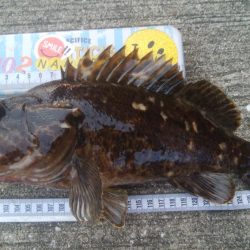 釣りデビュー 154日目