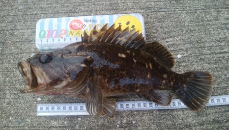 釣りデビュー 154日目