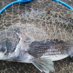 釣りデビュー　160日目