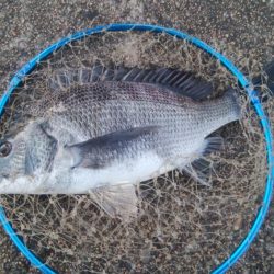 釣りデビュー 161日目