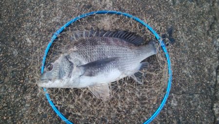 釣りデビュー 161日目