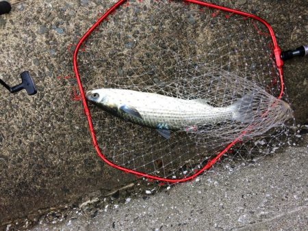 プチsalt water game！