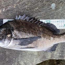 A.P.Pフィッシングガイドサービス ポイントチェックにRIDEON!