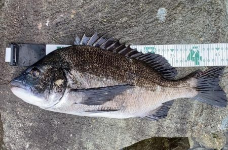 A.P.Pフィッシングガイドサービス　ポイ…