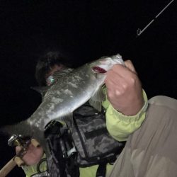 A.P.Pフィッシングガイドサービス　雨の影響残る中、アジングへRIDEON！