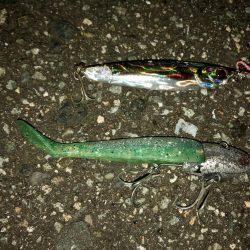 ダイソーフィッシュグリップ入魂