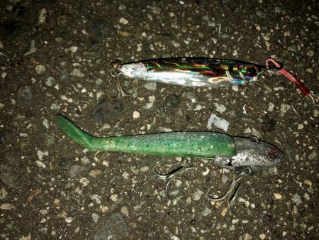 ダイソーフィッシュグリップ入魂