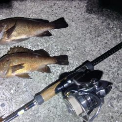 フロートゲーム