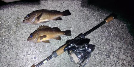 フロートゲーム