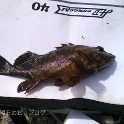 穴釣り