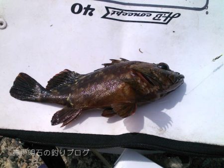 穴釣り