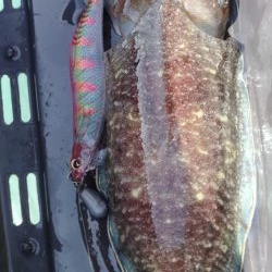 デカモンゴエギング