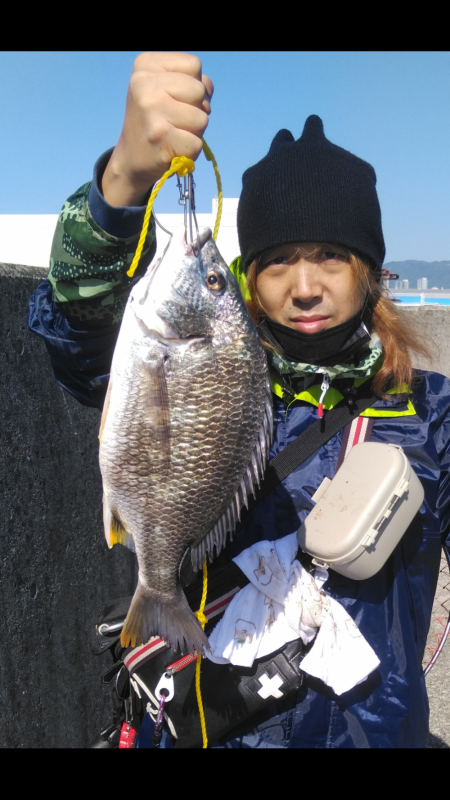 まだまだキビレ。チヌどこや？