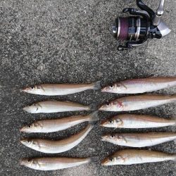 今年、ファーストキス！