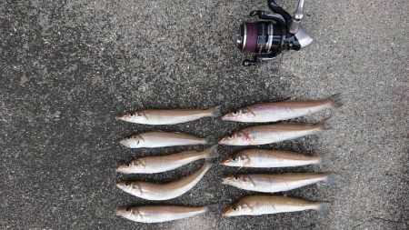 今年、ファーストキス！