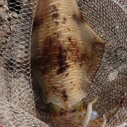 初キロupが、何と2キロOver！