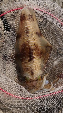 初キロupが、何と2キロOver！