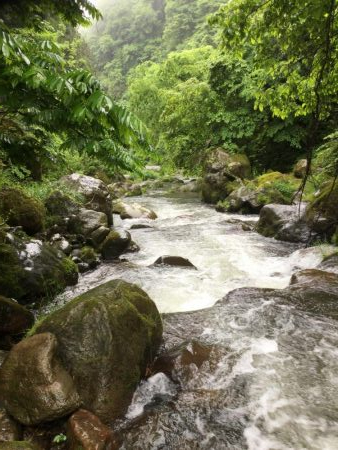 雨の中の渓流釣り