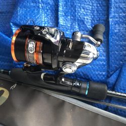 朝マズメのアジングでアジ10匹GET