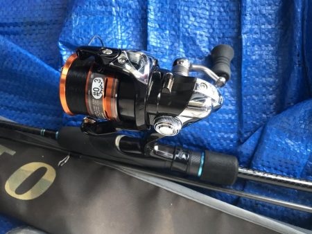 朝マズメのアジングでアジ10匹GET