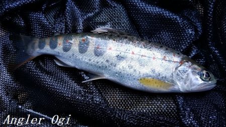 いつもとは違う場所で夕方に