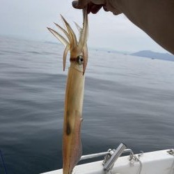 マイボートで午前中釣行