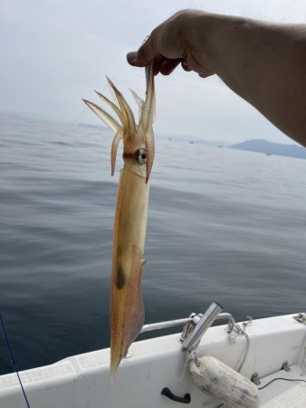 マイボートで午前中釣行