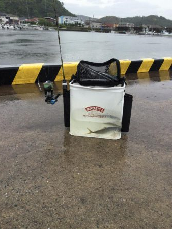 情報をもとにアジング調査