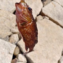 自転車遠征釣行