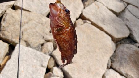 自転車遠征釣行