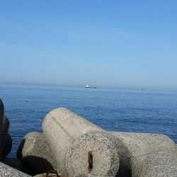 早朝プチsalt water game