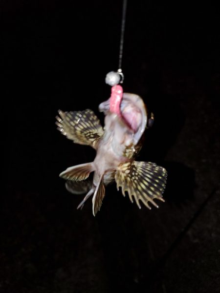 ピンクがお好き？