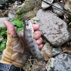 今日も大荒れ( ノД`)…