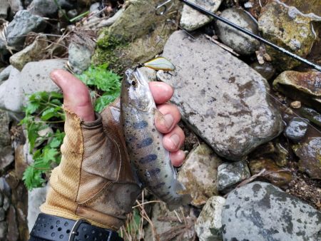 今日も大荒れ( ノД`)…