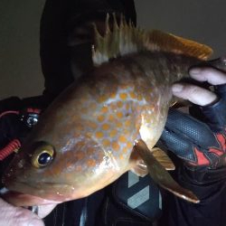 大阪湾奥最前戦