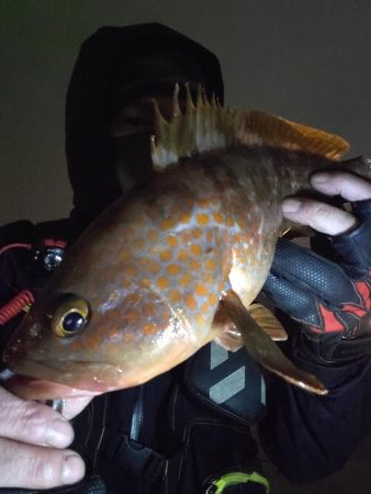 大阪湾奥最前戦