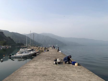 久しぶりの浮津