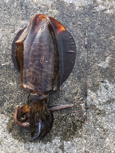 いつもと違う釣りで!