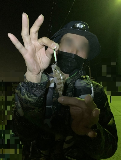 メバリング、ガシリング