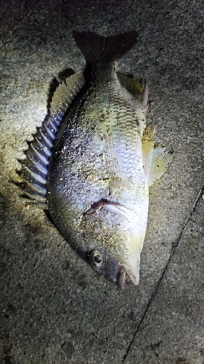 何して食べようかな〜？