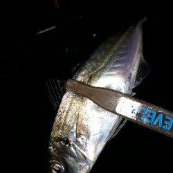 雨が降ろうがそれがなんだぁー